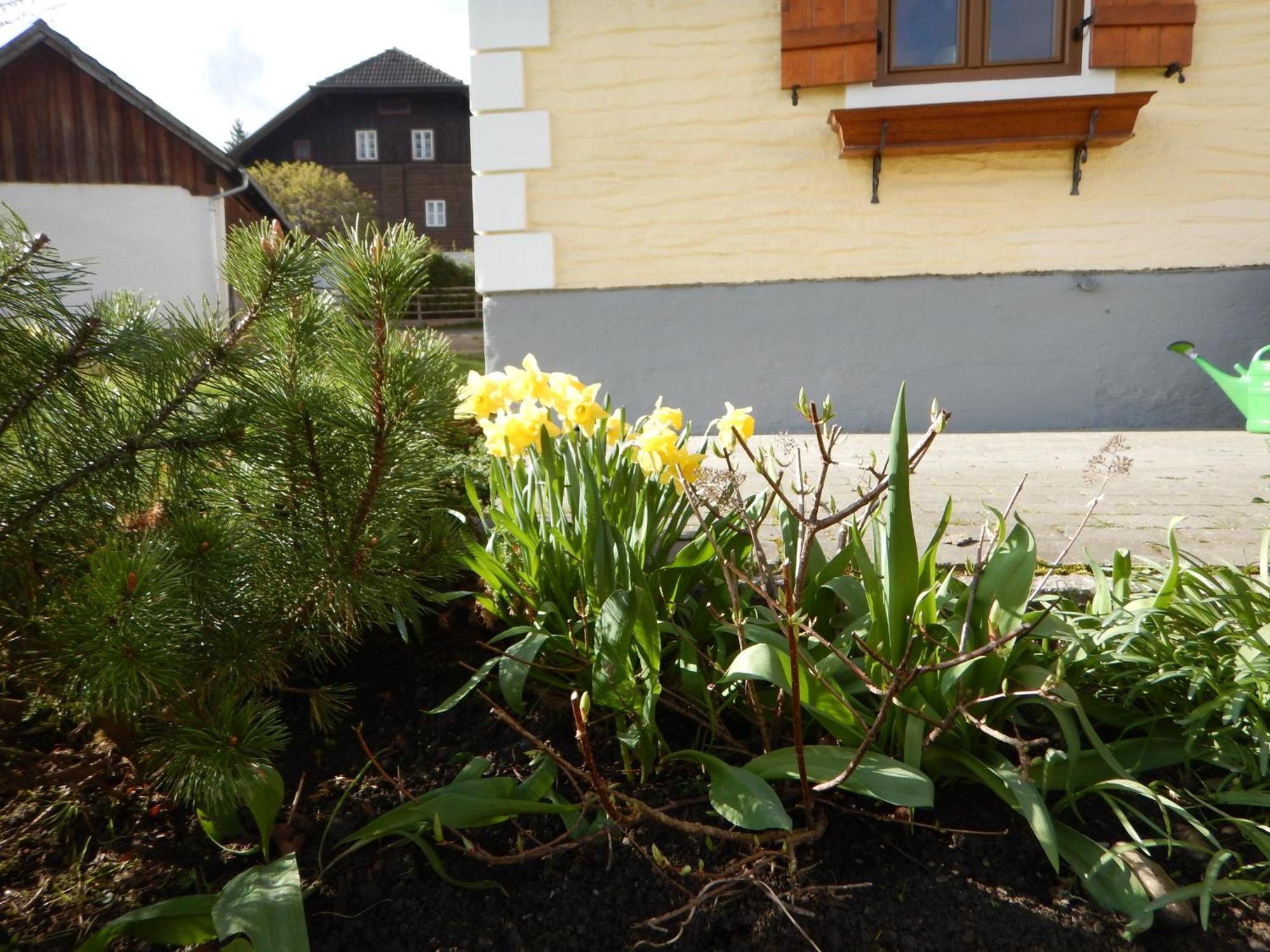Kasparbauer Sankt Michael im Lungau Exterior foto